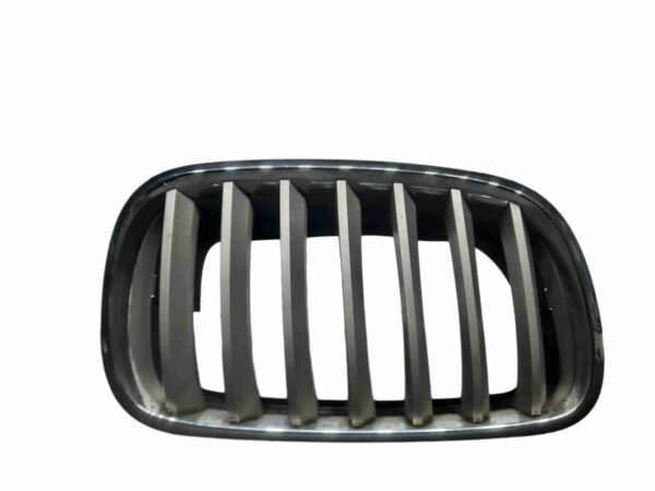 Grila capota stanga 5113-7171395 BMW X5 / X6 E70 / E71 2012